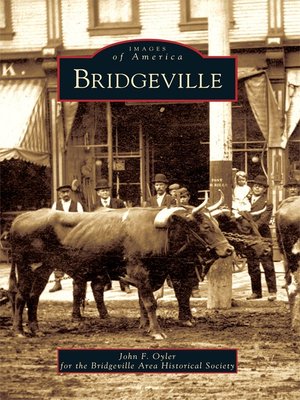 Bridgeville - ebook